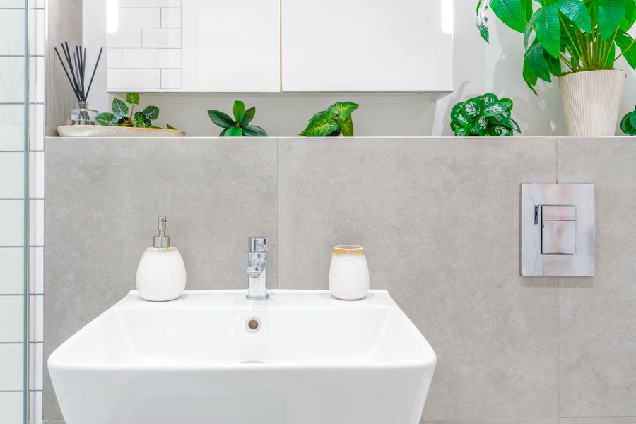 Basin with soap dispensers and plants on a grey tiled shelf